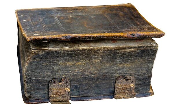 子どもと本屋に行くメリットと年齢別楽しみ方完全ガイド｜親子の絆を深める読書体験