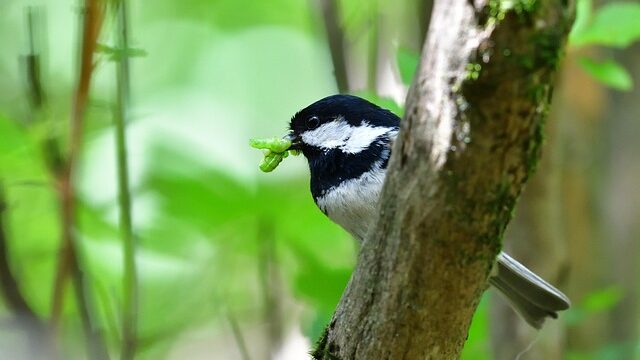 育児はいつが一番しんどい？経験者が選んだ辛い時期TOP5と乗り越える方法