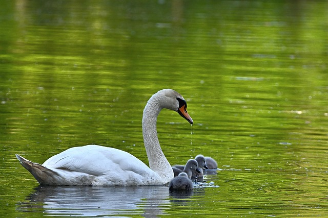 parenting