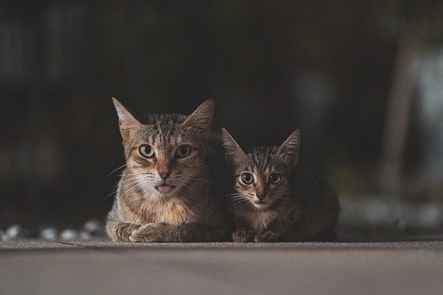 family